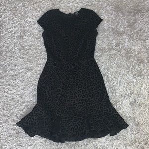 NWT Aqua Velvet Leopard Print Flounce Dress